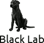 Black Lab